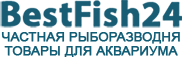 bestfish24.ru