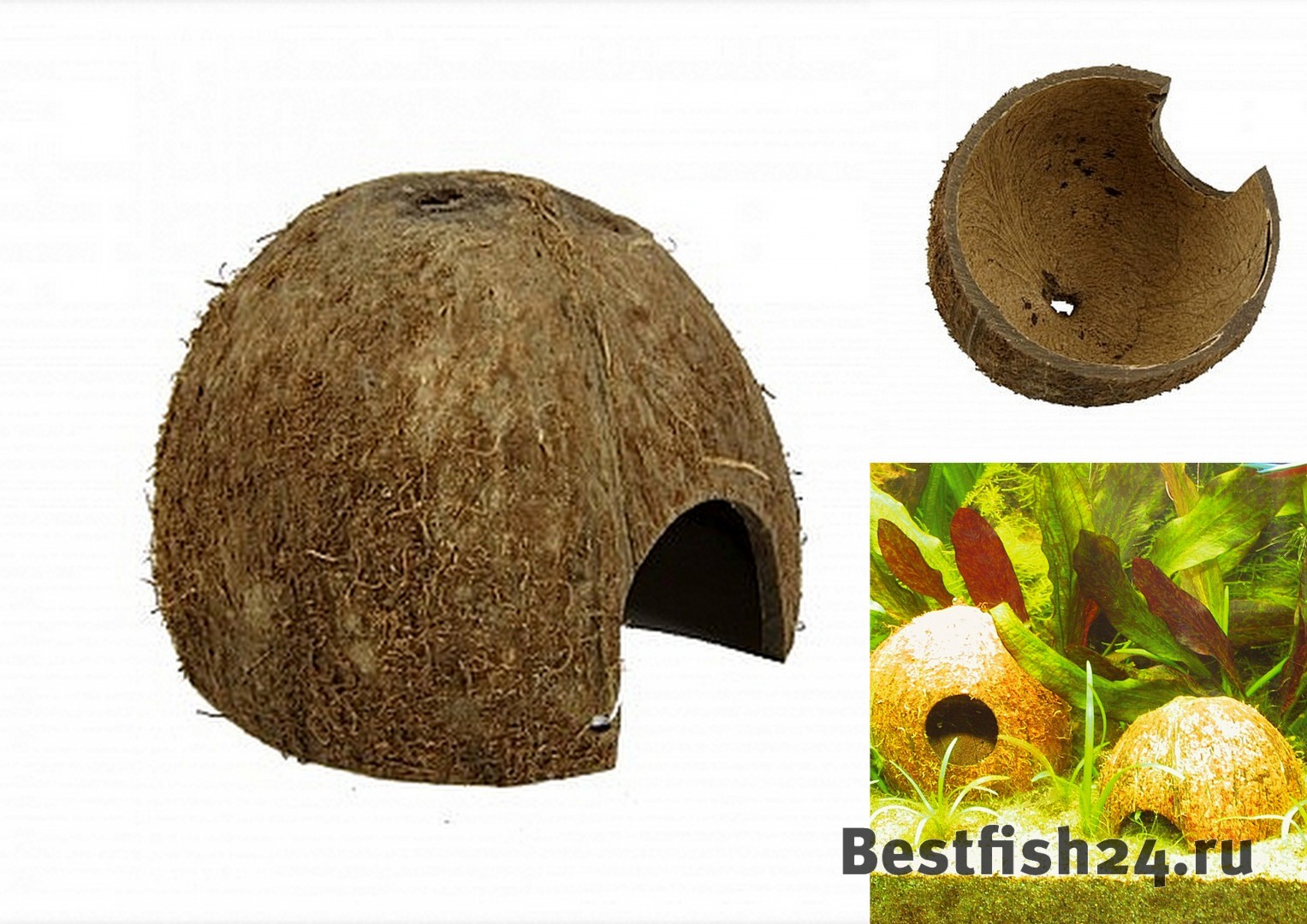 JBL Cocos Cava - Пещера из целой кожуры кокоса большого размера