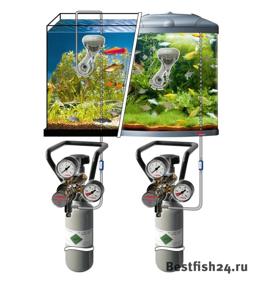 Оборудование для подачи СО2 в аквариум